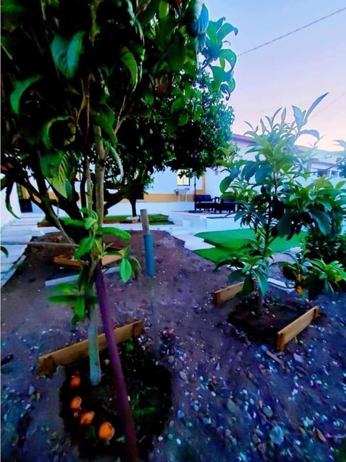 Villa Casa Da Laranjeira Vale Covo  Esterno foto