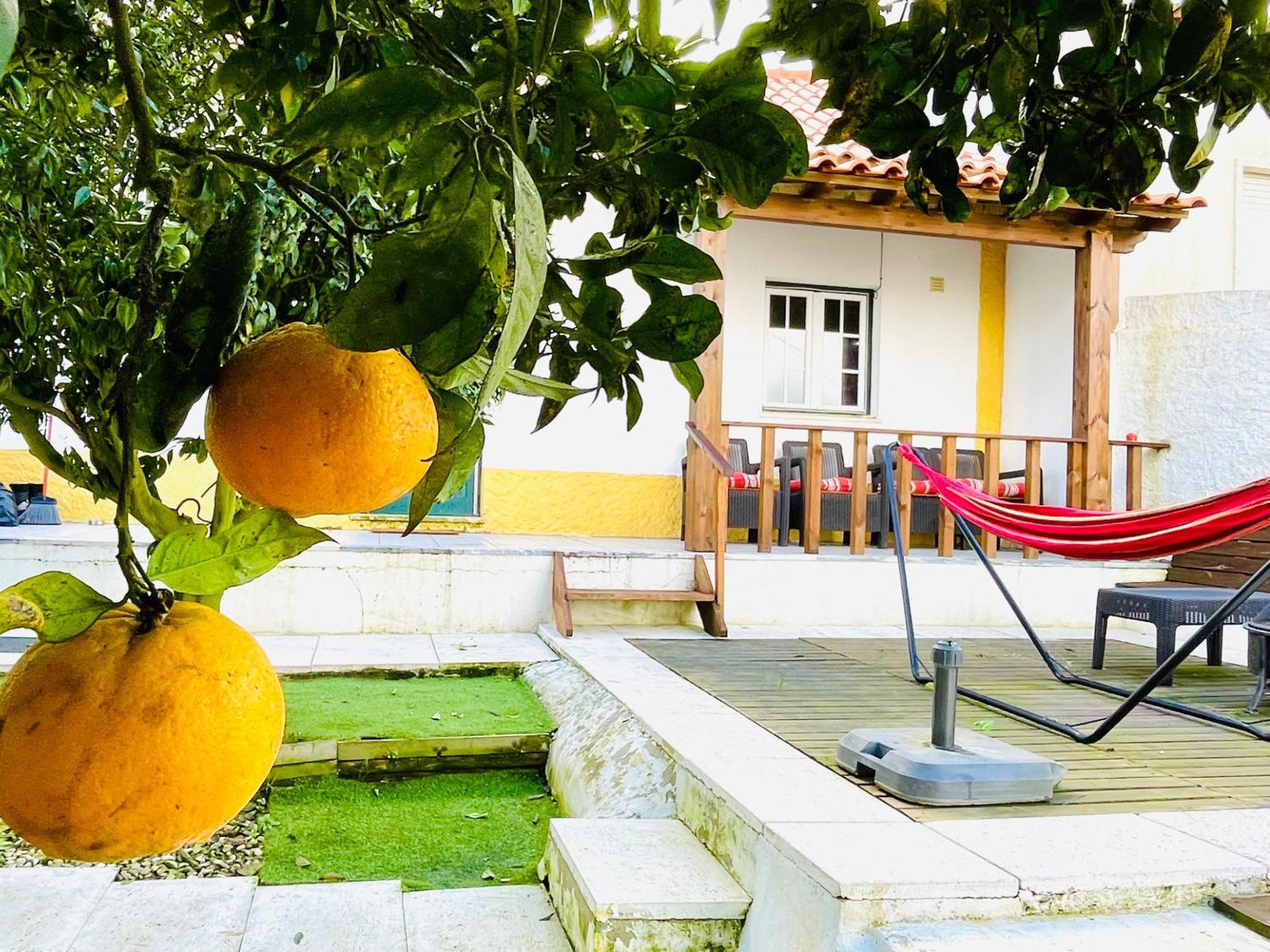 Villa Casa Da Laranjeira Vale Covo  Esterno foto